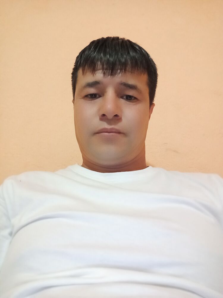  46511400  , 36 ,    