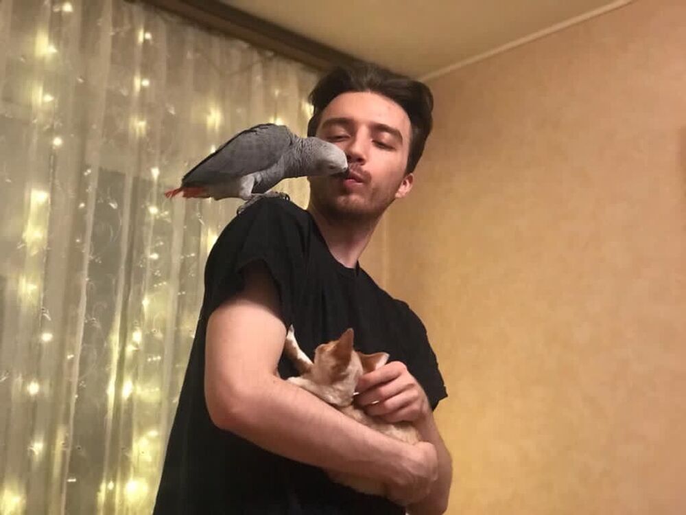  ,   Sandro, 29 ,   ,   