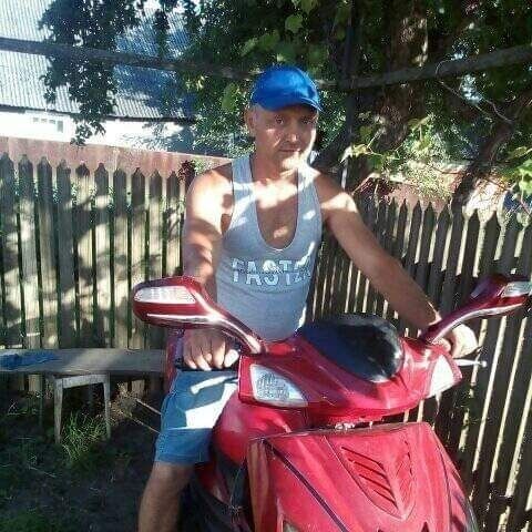 ���� 55162220 ������� ������, 40 ���, ���� ���������� � ���������