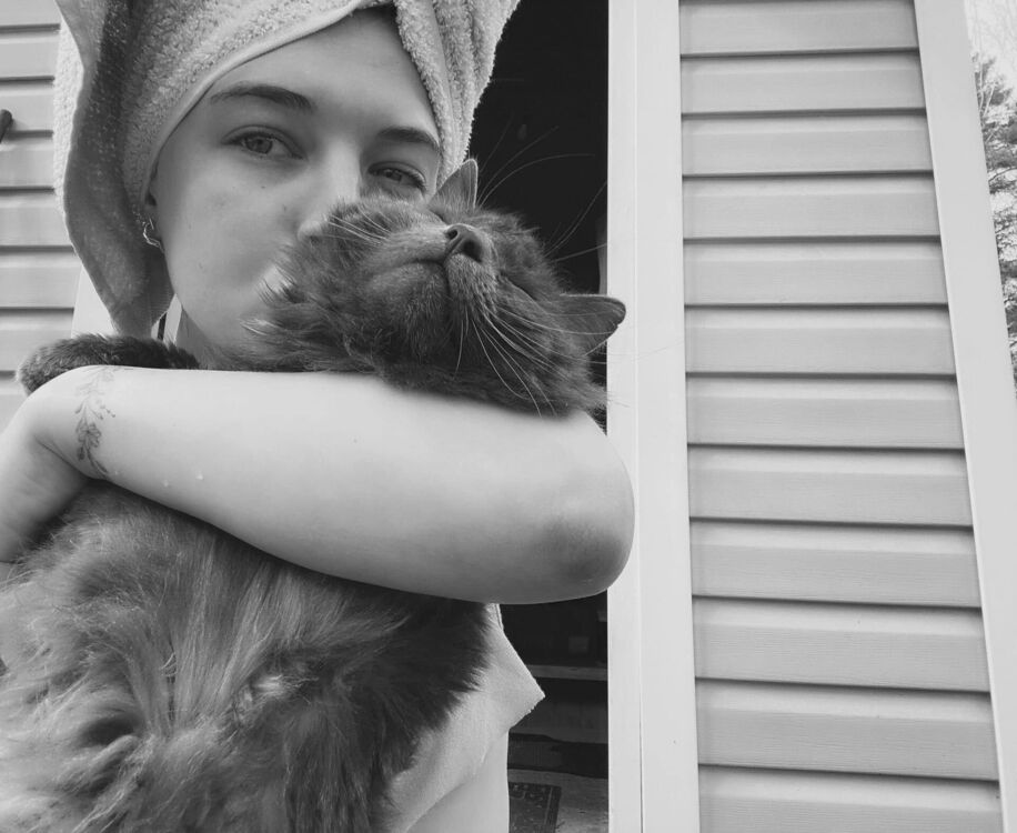  27091080  , 29 ,    -