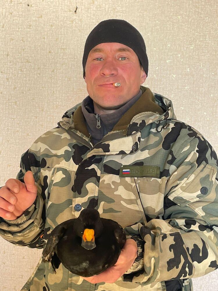 ���������� �������, ���� ������� ���, 40 ���, ������������ ��� ������, ����� � ���������, c�������� ���������, ���������