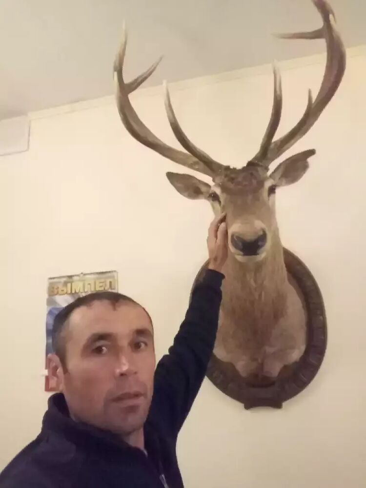 ���������� �����, ���� ������� ������, 46 ���, ������������ ��� ������, ����� � ���������