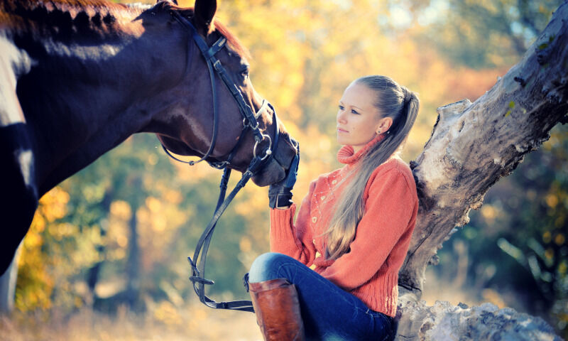 ���� 38321180 ������� ���������, 38 ���, ���� ���������� � ������������