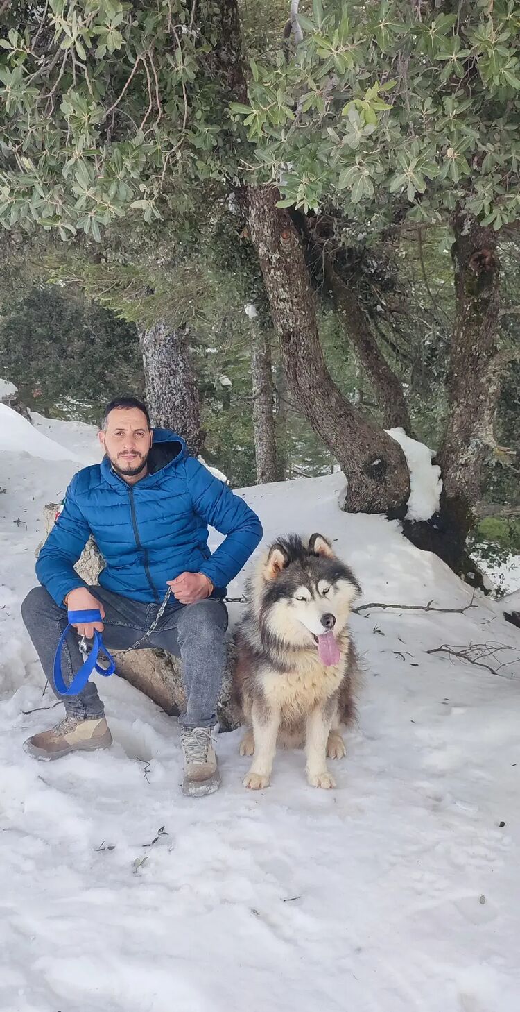 ���� 46846390 ������� Djouadi, 36 ���, ���� ���������� � ������