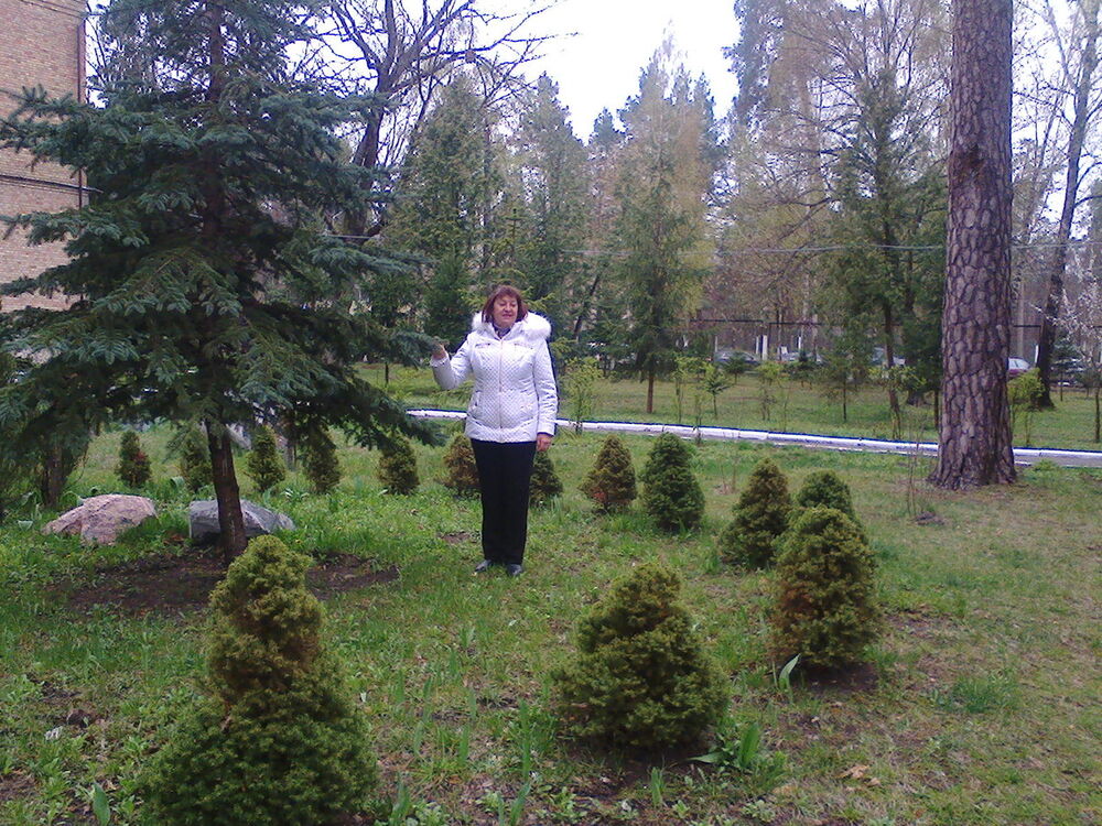  ,   , 73 ,   ,   , c 