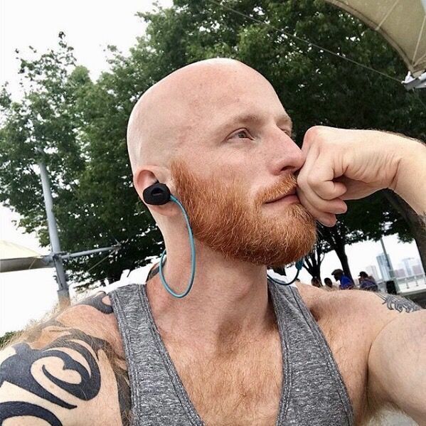 ���� 43129030 ������� ������� ����, 40 ���, ���� ���������� � ������