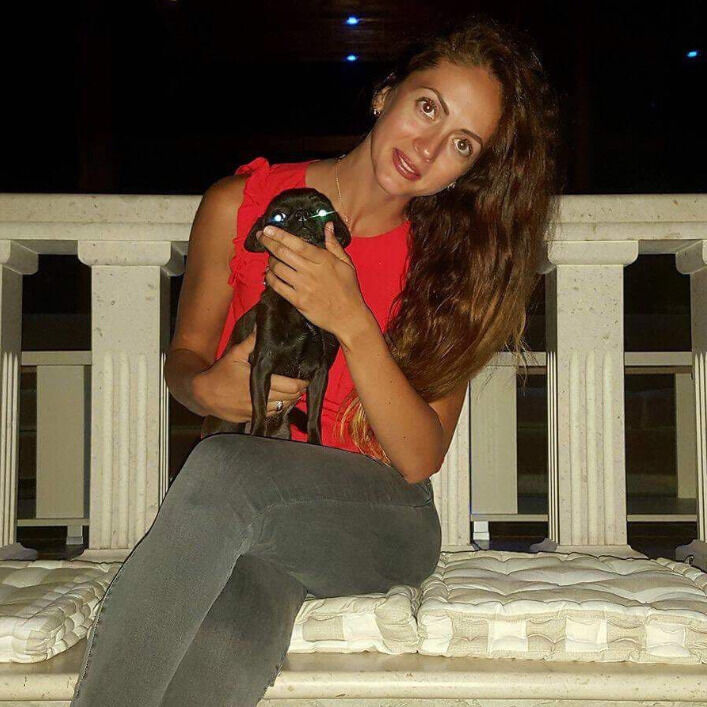 ���� 56247620 ������� ������, 27 ���, ���� ���������� � ���������