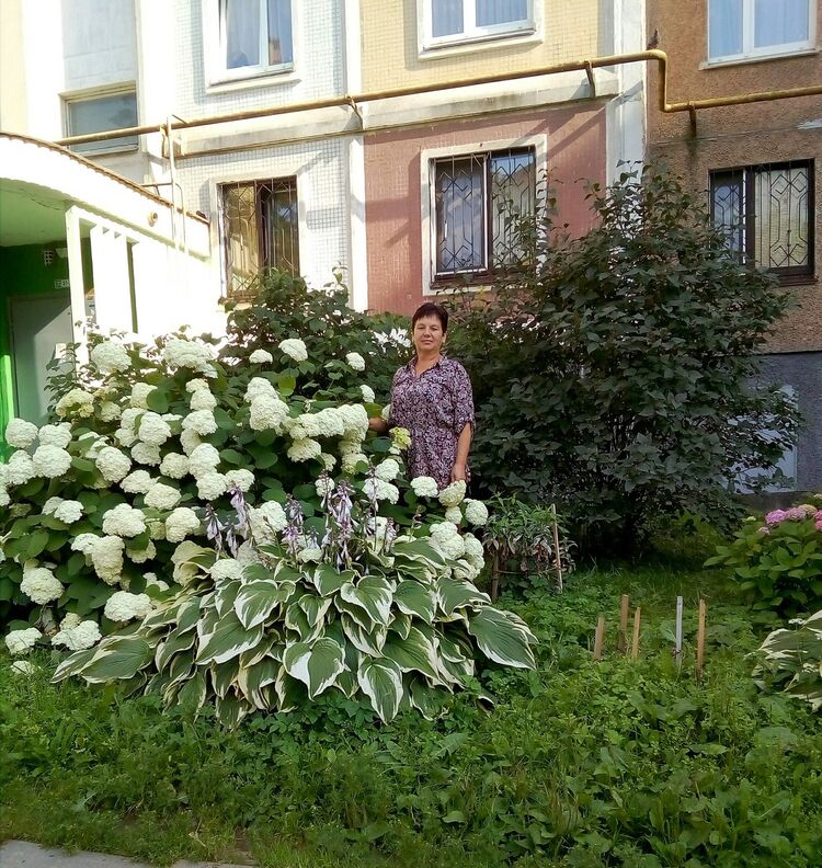  ,   , 65 ,     , c 
