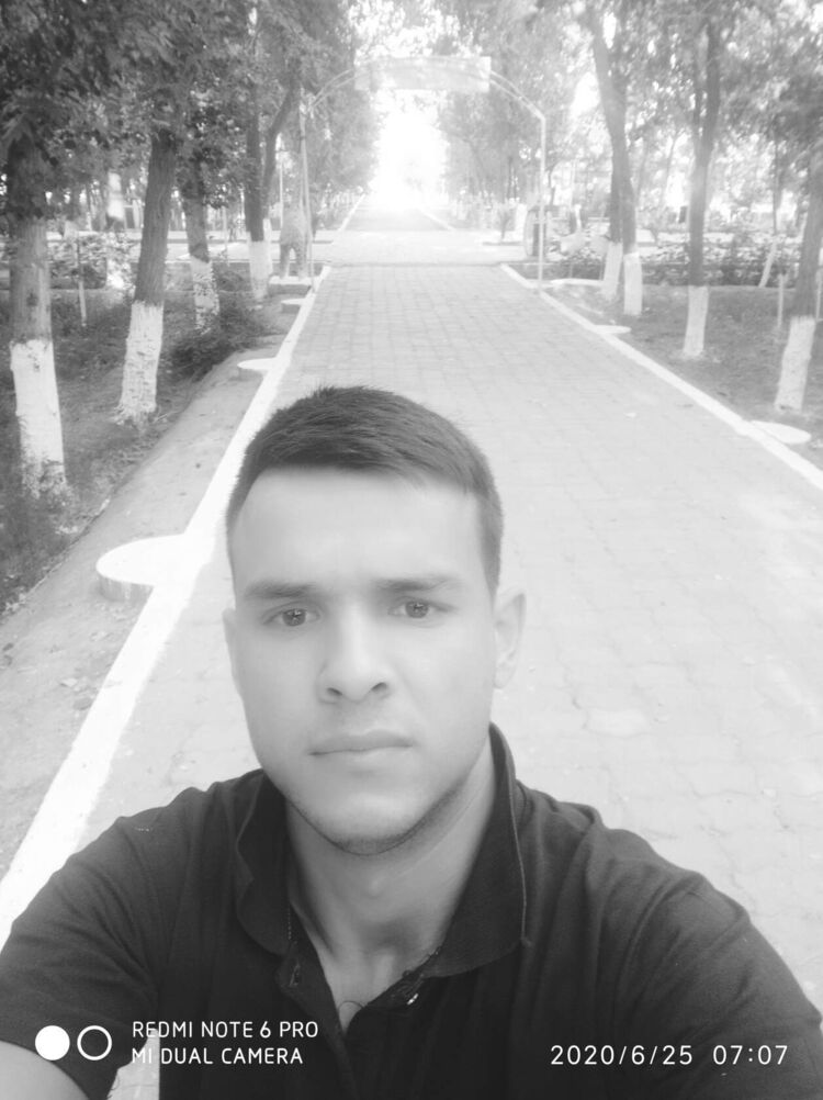  32564860  , 31 ,    