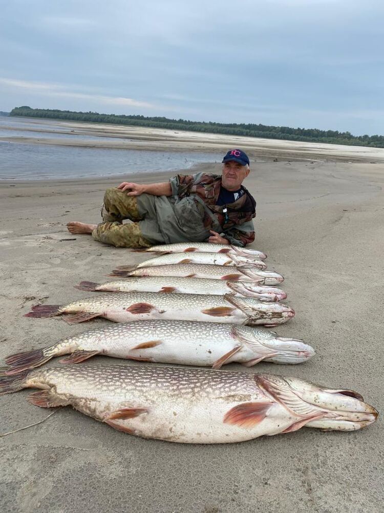 ���� 29852620 ������� �������, 47 ���, ���� ���������� � �������������