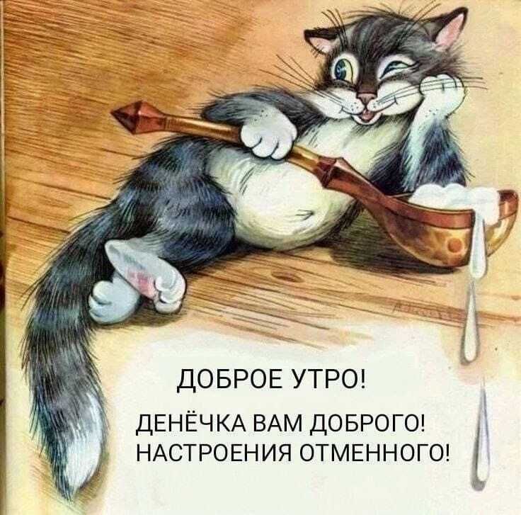 ���� 49568150 ������� �����, 52 ����, ���� ���������� � ����-����������