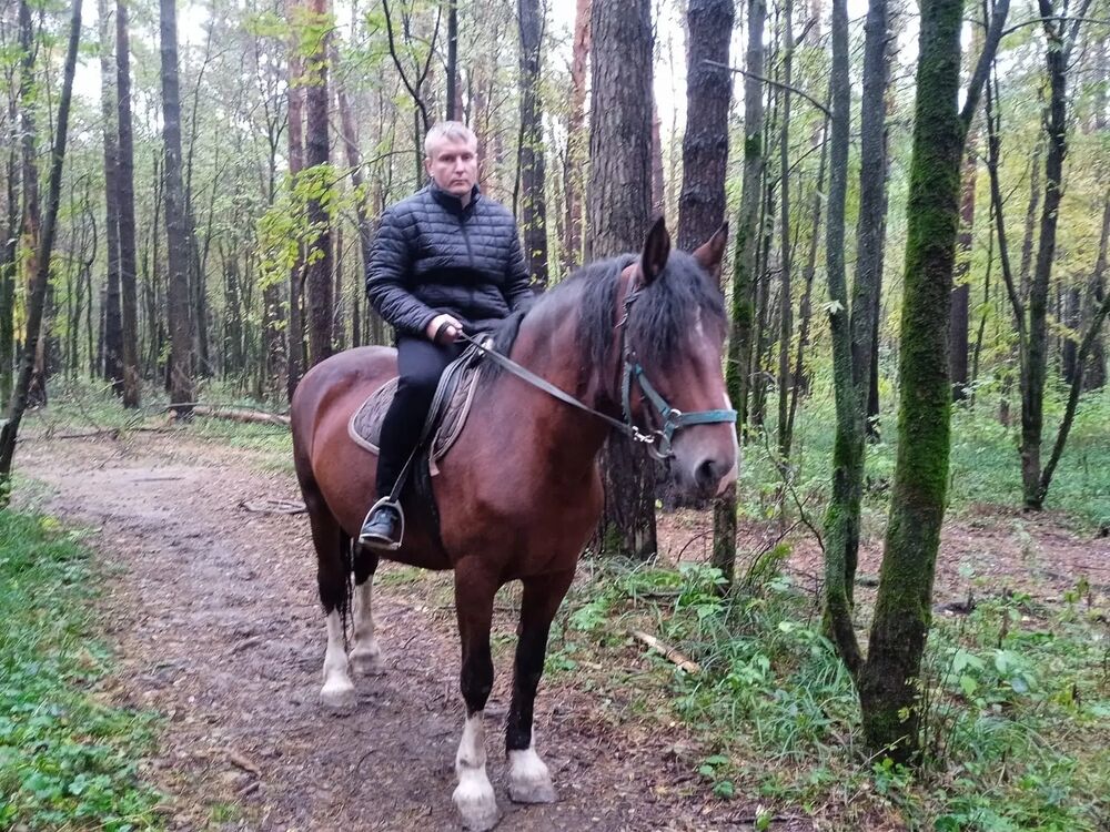 ���������� ������, ���� ������� �������, 45 ���, ������������ ��� ������, ����� � ���������, c�������� ���������