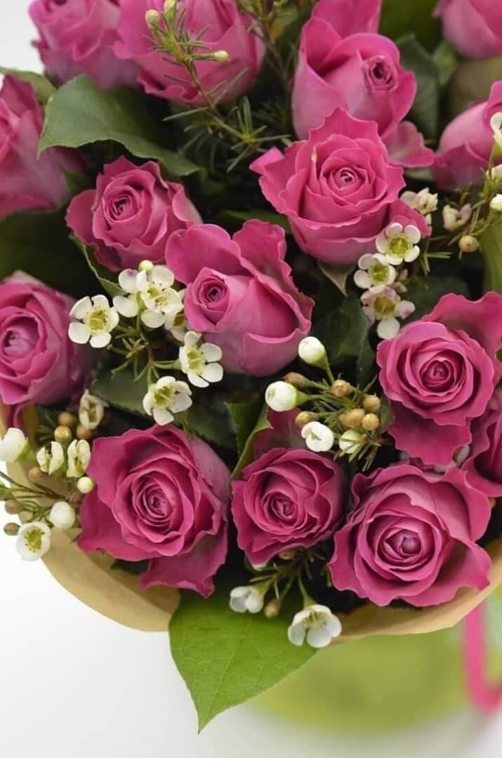 ���� 15855950 ������� Naz, 38 ���, ���� ���������� � �������