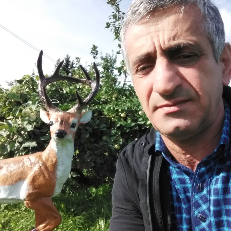  29413180  , 56 ,    -