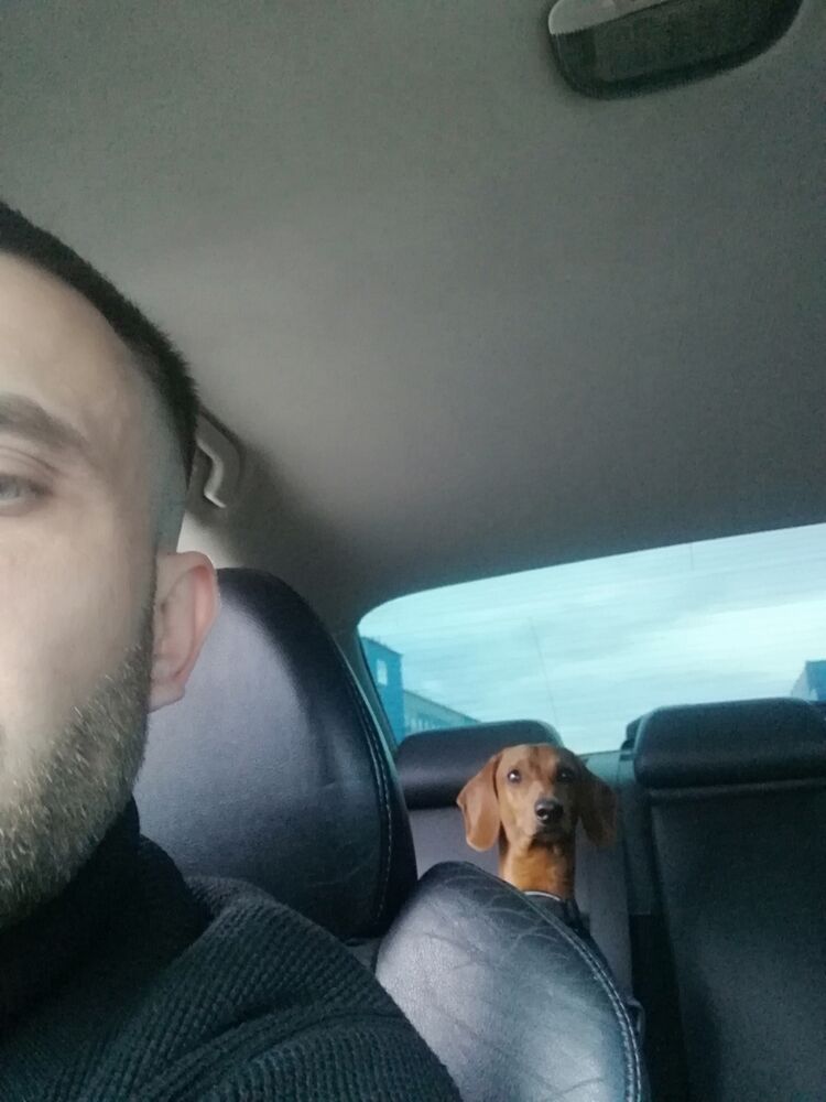 ���� 47589550 ������� ���������, 35 ���, ���� ���������� � ����������