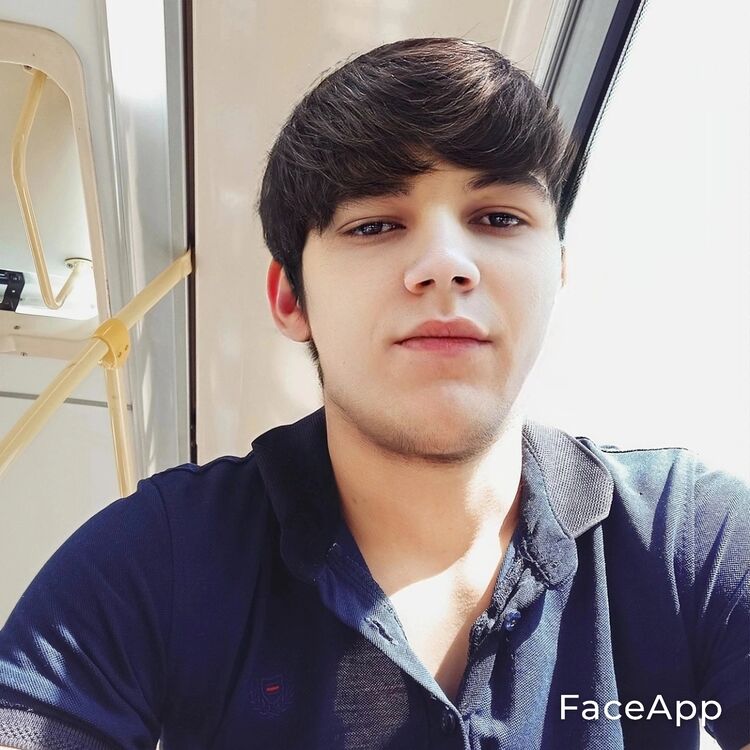 ���������� ������, ���� ����� Shokir, 24 ����, ������������ ��� ����� � ���������, c�������� ���������, ���������