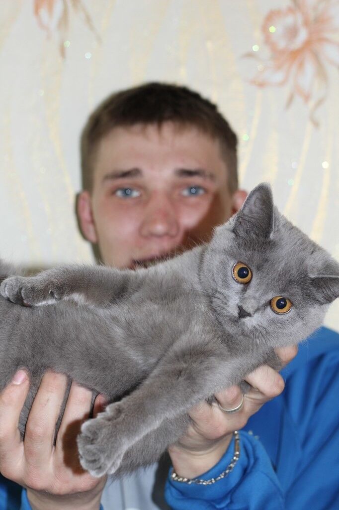 ���� 5022050 ������� ������, 35 ���, ���� ���������� � ��������