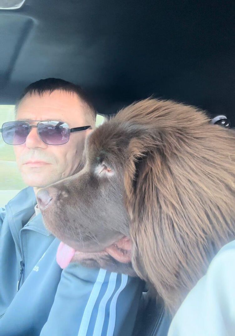 ���������� ����-���������, ���� ������� �����, 37 ���, ������������ ��� ������, ����� � ���������