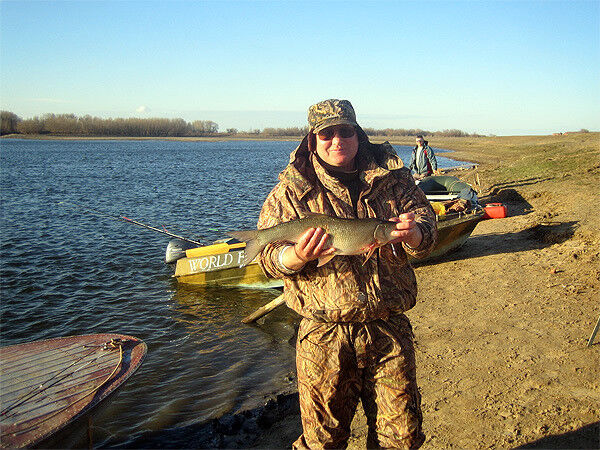 ���� 9025430 ������� �������, 49 ���, ���� ���������� � �������������