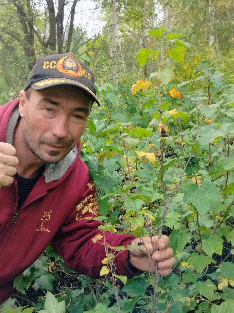 ���� 54900290 ������� �����, 45 ���, ���� ���������� � ����