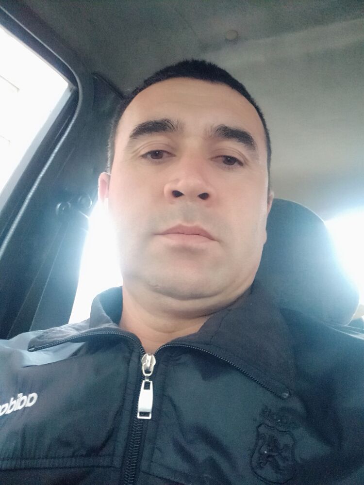  31065520  , 41 ,    