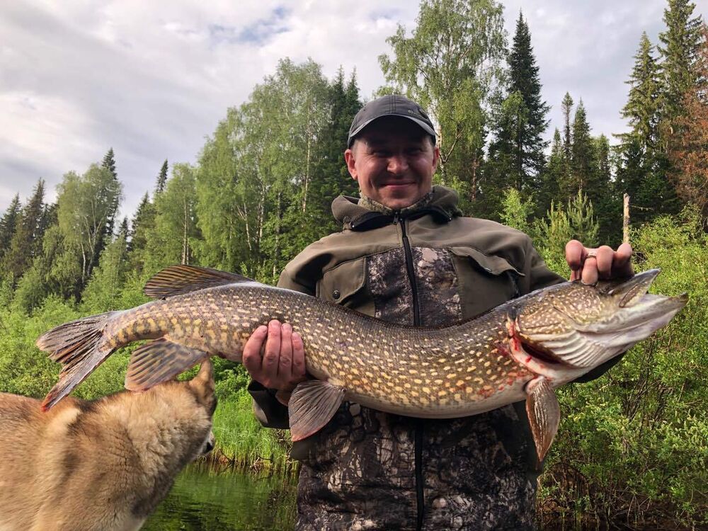 ���� 49663200 ������� ������, 45 ���, ���� ���������� � �������