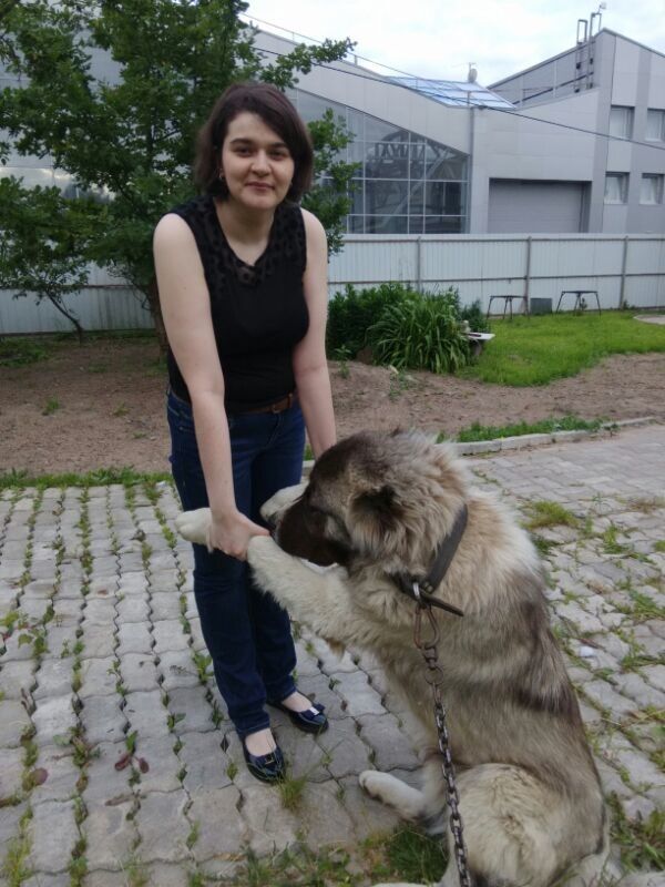 ���������� �����-���������, ���� ������� ������, 40 ���, ������������ ��� ������, ����� � ���������, c�������� ���������