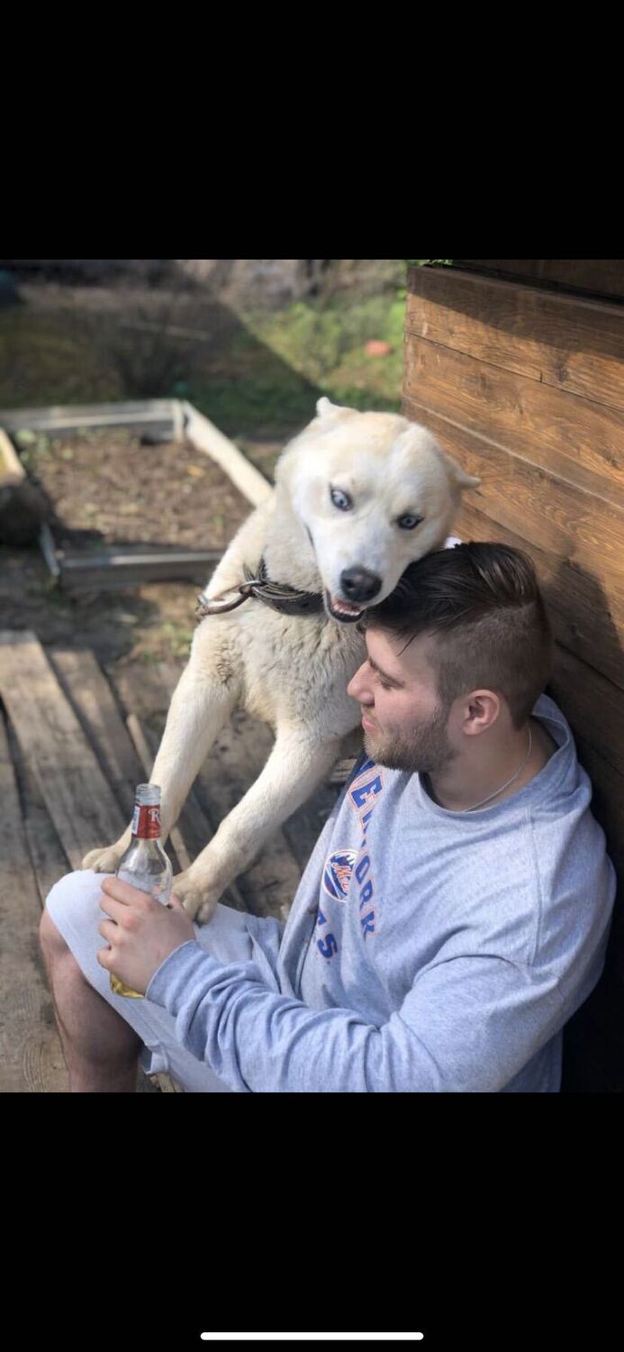  29740980  Niks, 31 ,    