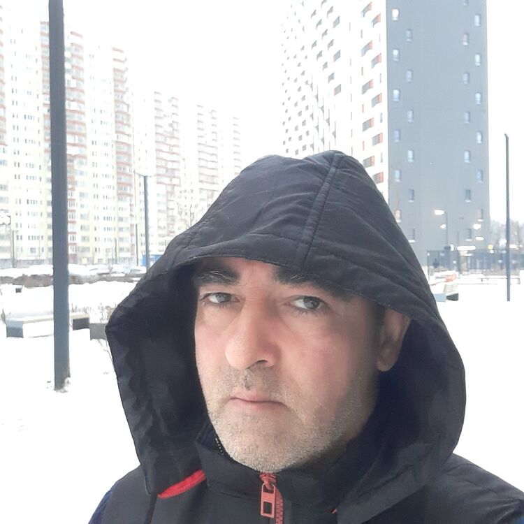  31143460  , 48 ,    