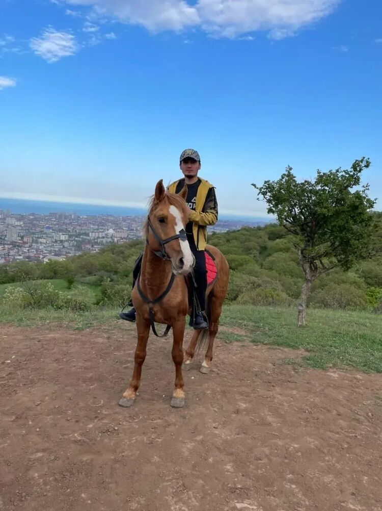 ���� 55818240 ������� Alik, 30 ���, ���� ���������� � ����