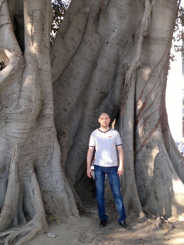 ���� 11331370 ������� ������, 45 ���, ���� ���������� � ���������