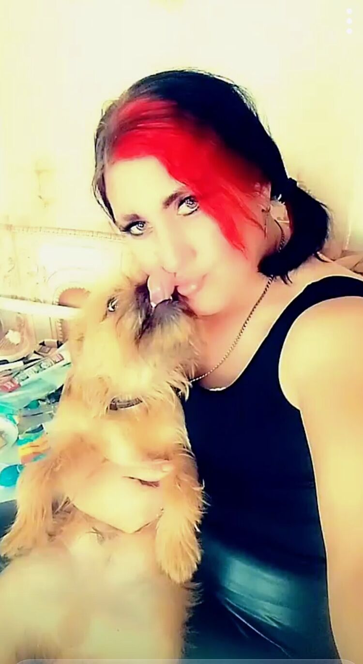 ���������� ������� ����������, ���� ������� Lud����, 42 ����, ������������ ��� ����� � ���������, c�������� ���������, ���������