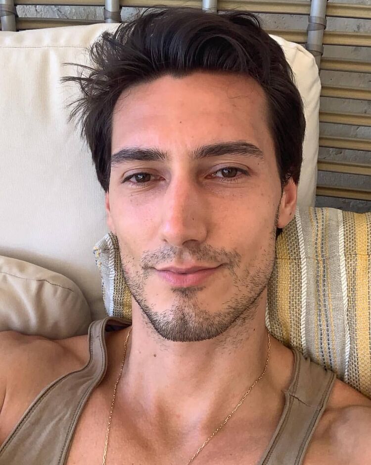 ���� 50930040 ������� �������, 33 ����, ���� ���������� � ������