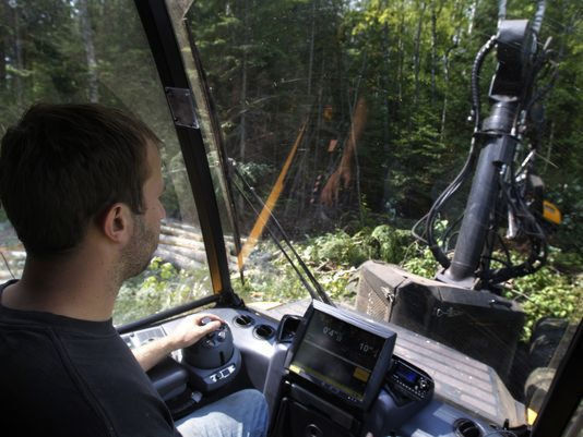 ���� 17497400 ������� Tiger, 46 ���, ���� ���������� � ����