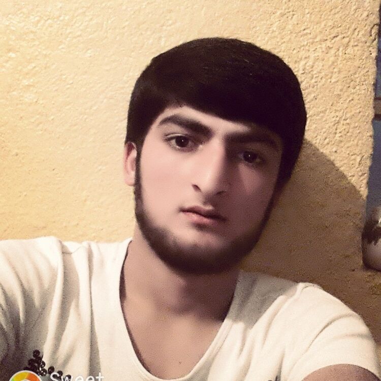  15751150  , 26 ,    