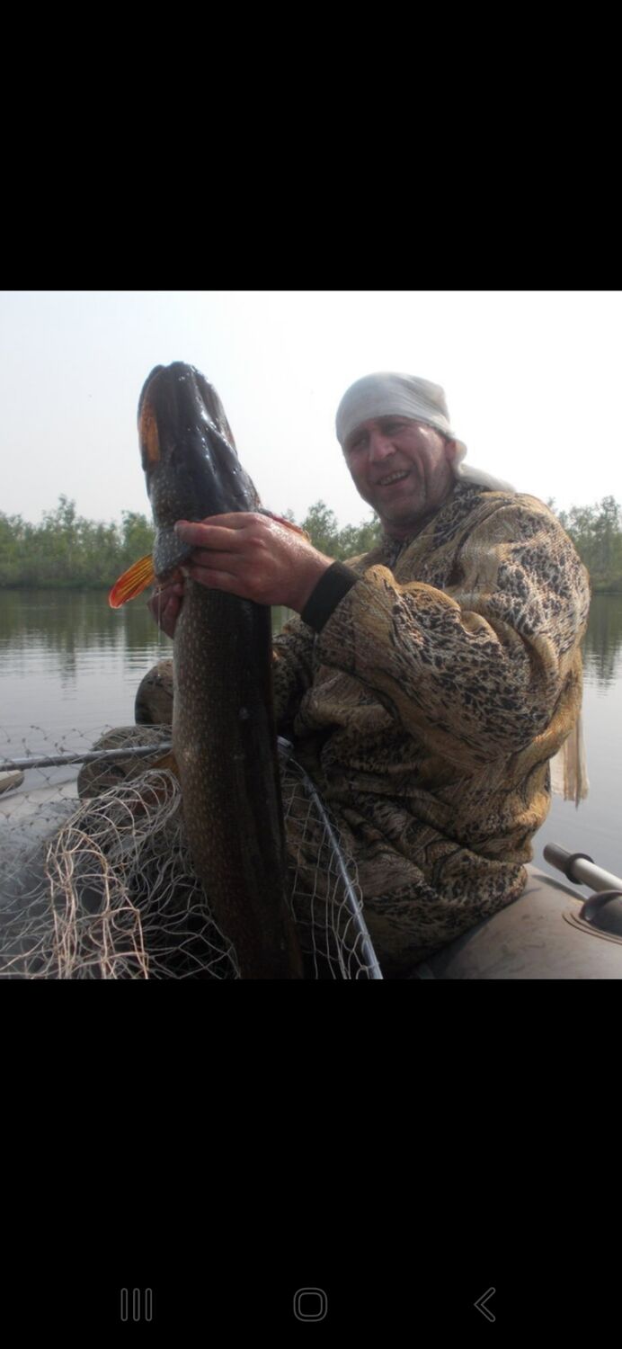 ���� 55126320 ������� ���������, 60 ���, ���� ���������� � ��������