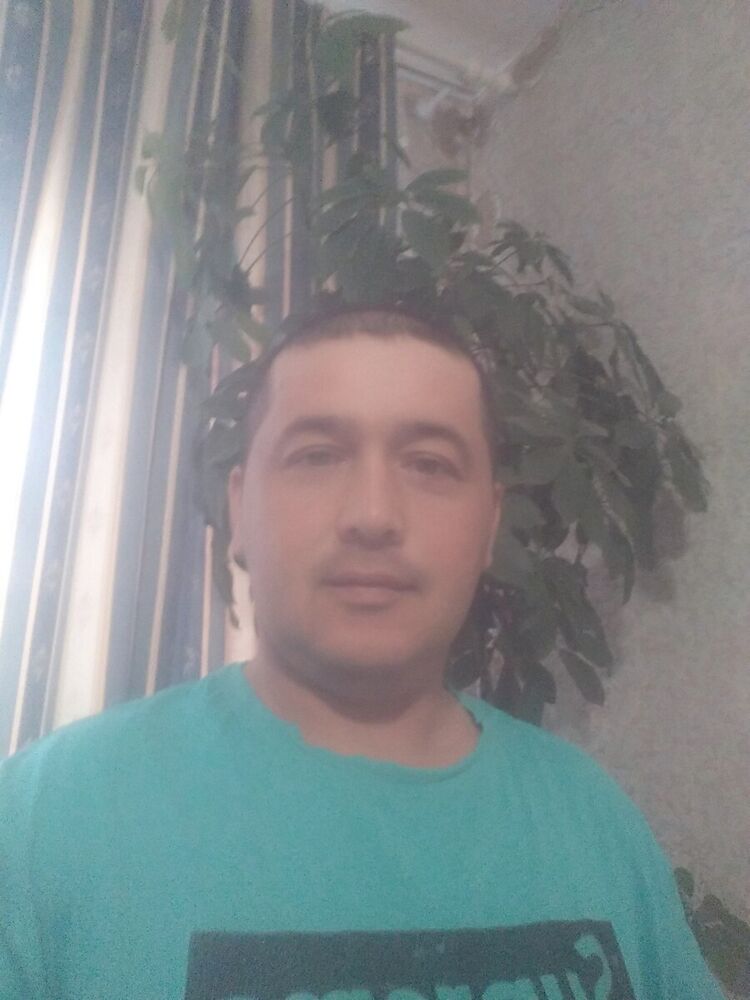  20335850  , 38 ,    -