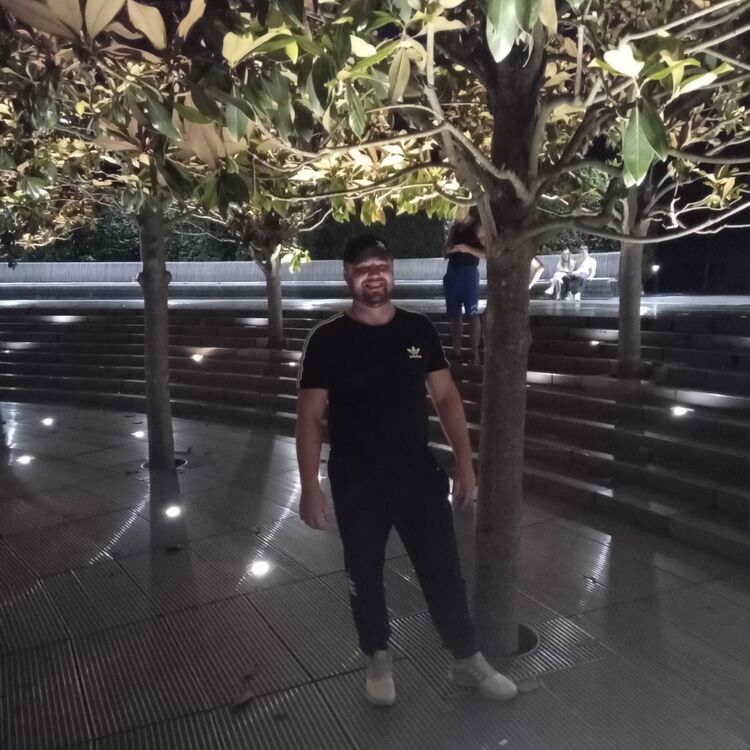  45589130  , 38 ,    
