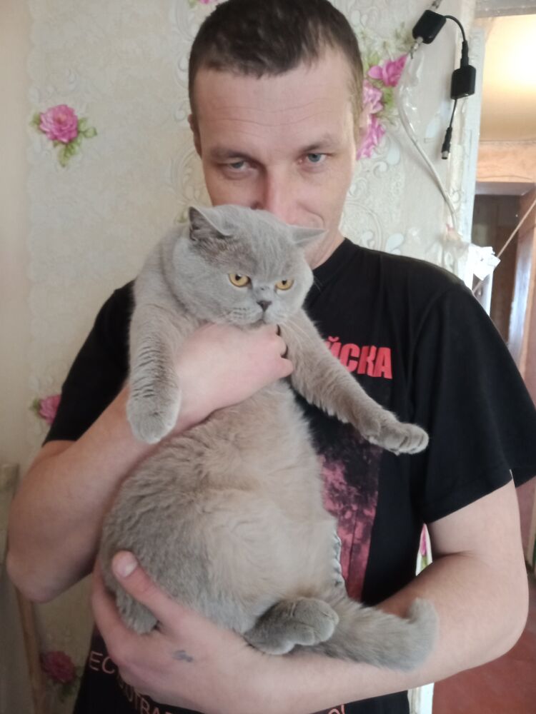 ���������� ������, ���� ������� ������, 44 ����, ������������ ��� ������, ����� � ���������, c�������� ���������