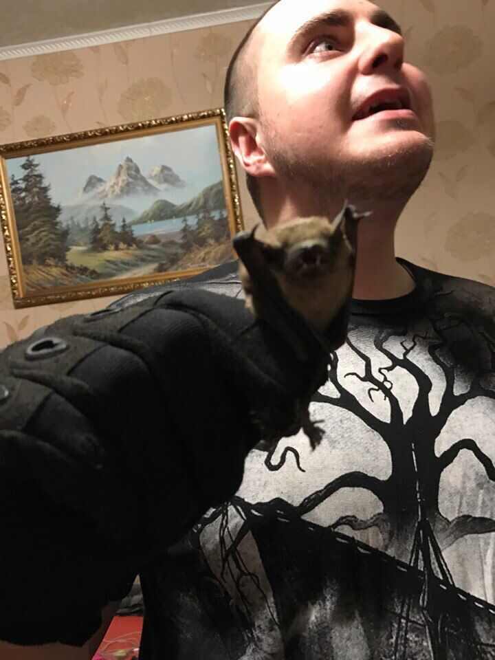 ���� 30862120 ������� ����, 32 ����, ���� ���������� � �������������