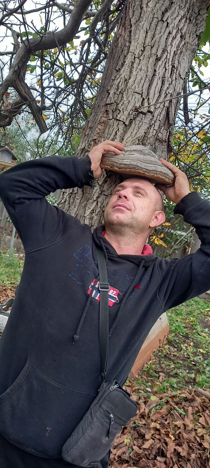 ���� 31431010 ������� ��������, 38 ���, ���� ���������� � �����