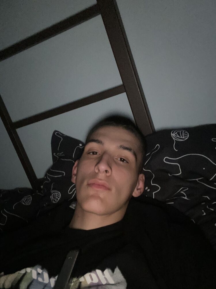  52312560  , 33 ,    