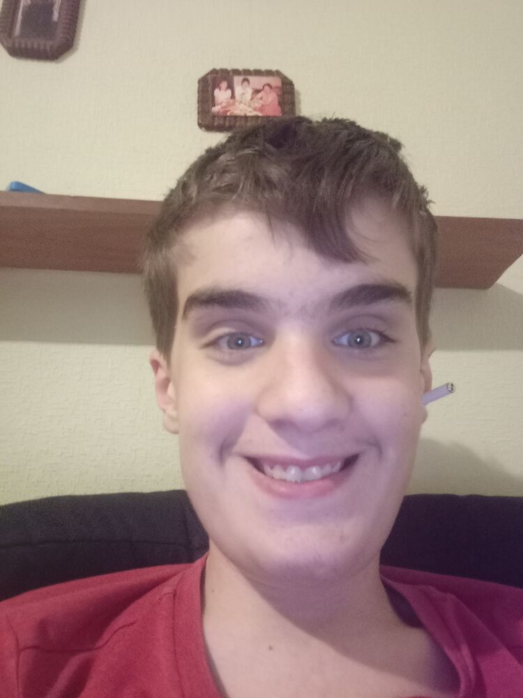  29552190  , 21 ,    --