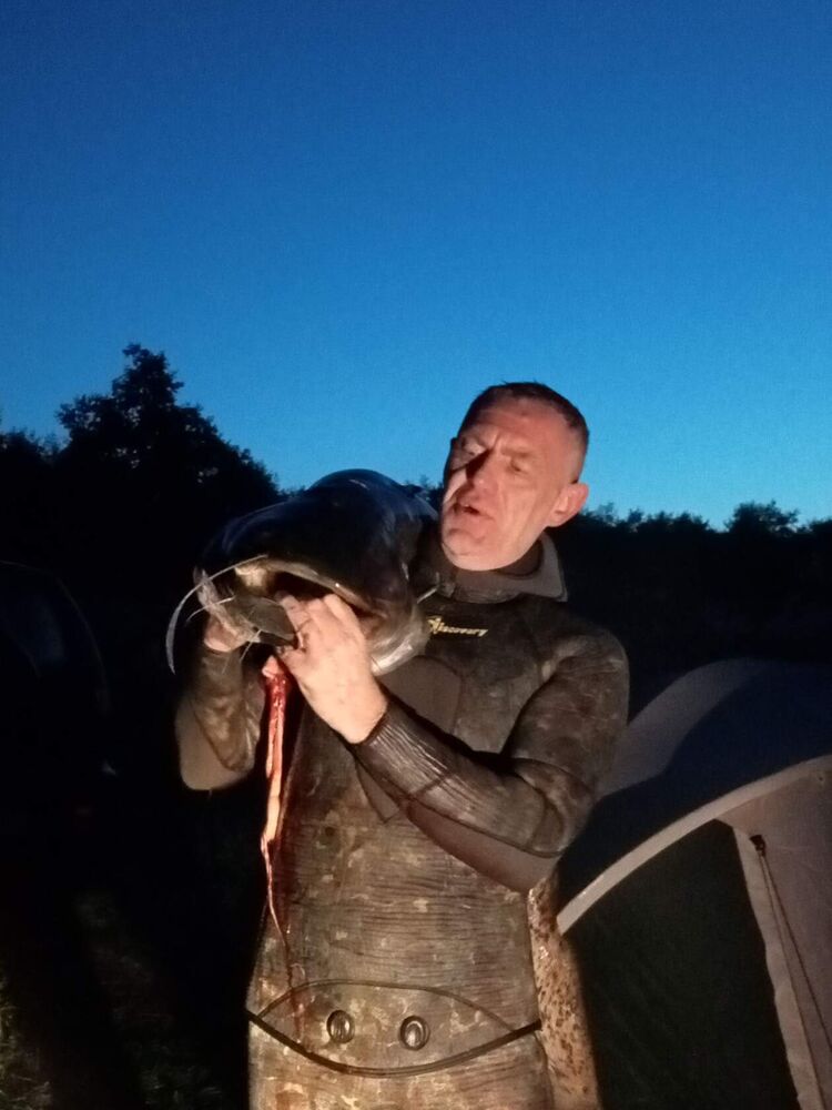 ���� 55135120 ������� ������, 51 ���, ���� ���������� � ���������