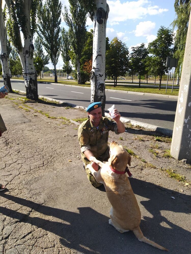 ���� 20782380 ������� ������, 51 ���, ���� ���������� � �������