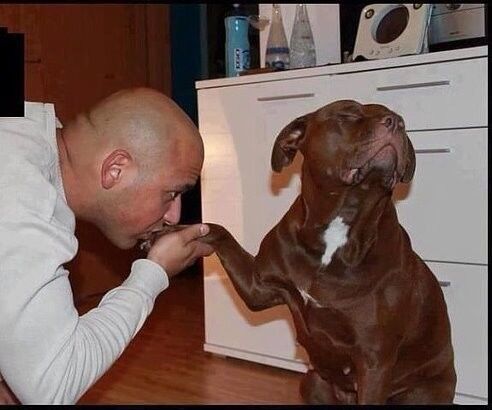 ���������� �������, ���� ������� Nick, 45 ���, ������������ 