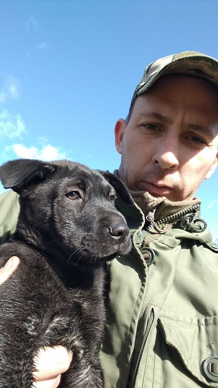 ���� 51000230 ������� ���������, 38 ���, ���� ���������� � ������