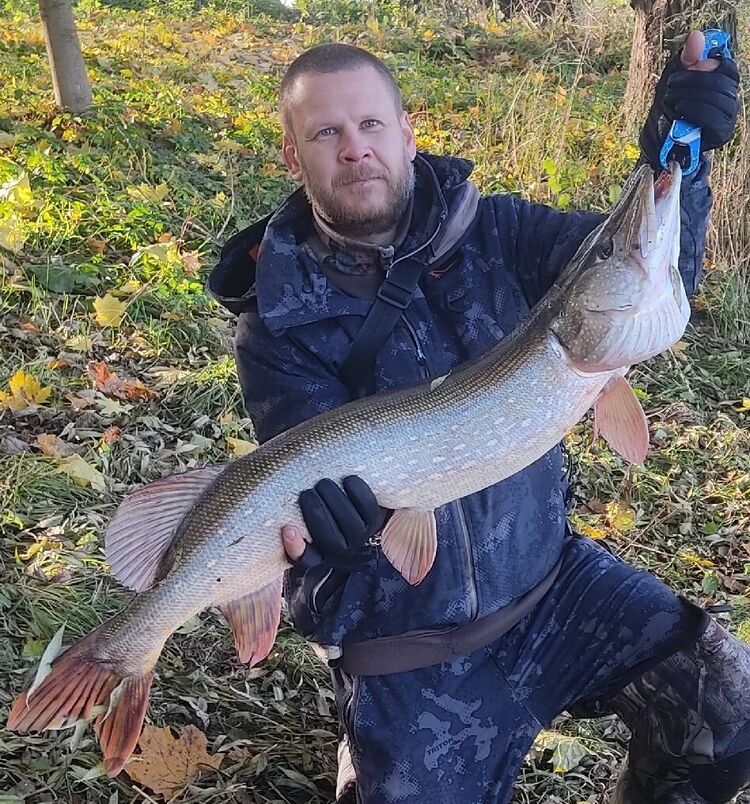  ,   , 39 ,   c 