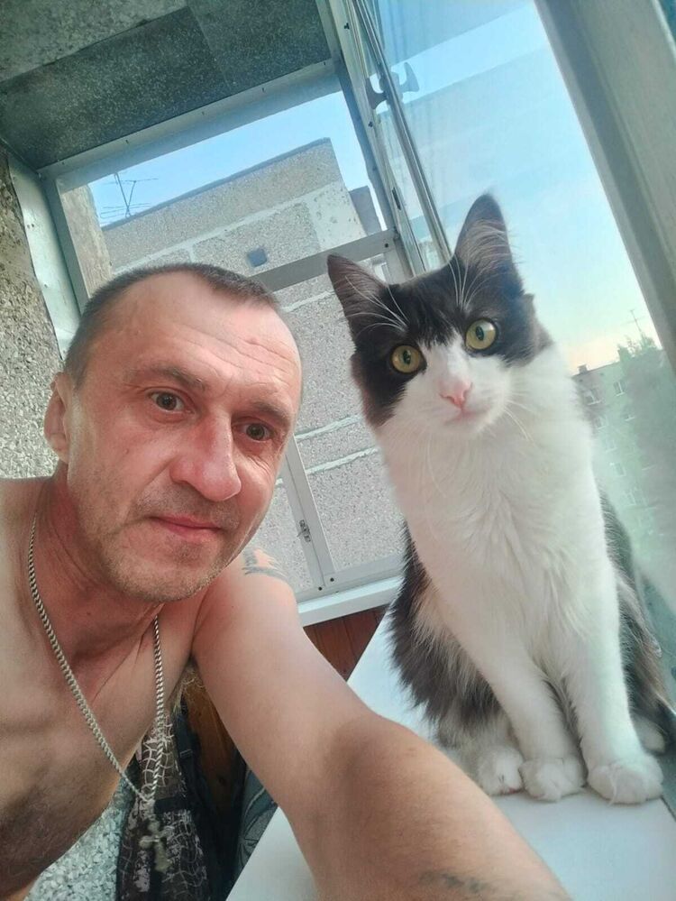 ���� 55650300 ������� ���������, 49 ���, ���� ���������� � �������������