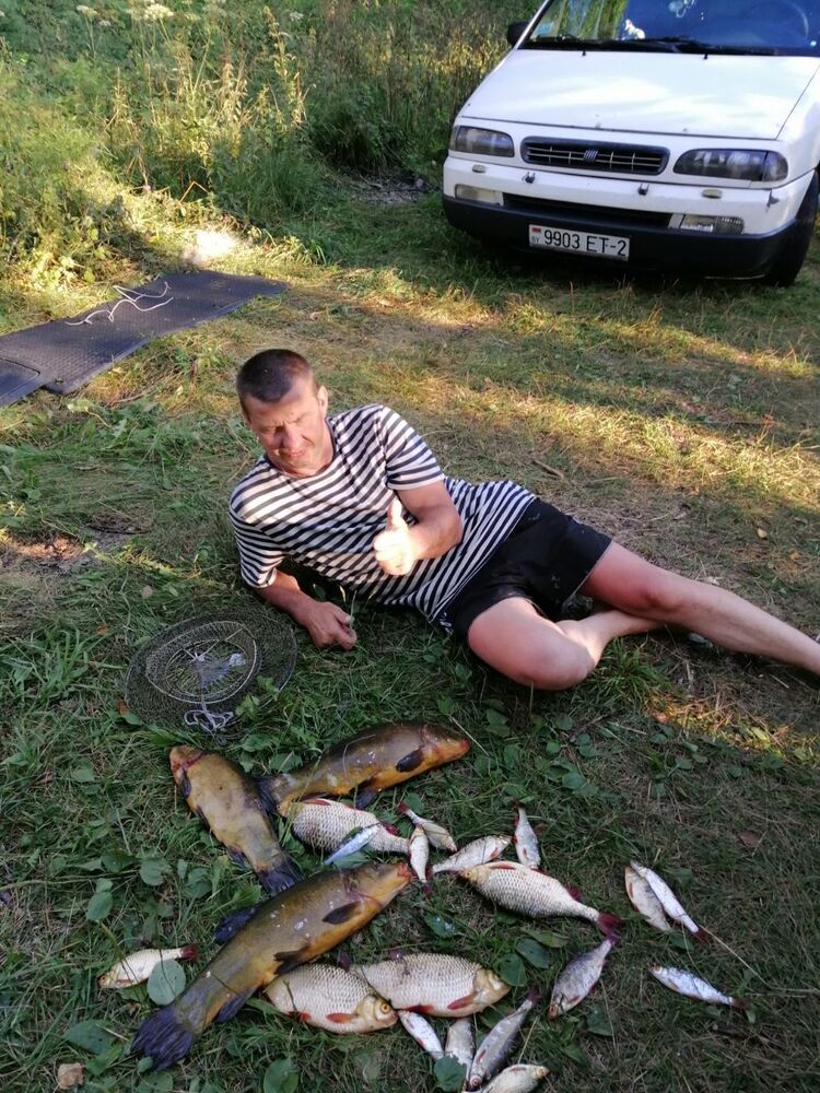 ���� 31105320 ������� ������, 50 ���, ���� ���������� � ������